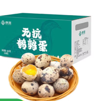 京覓新鮮無抗鵪鶉蛋 生鮮蛋 健康好蛋 63枚/盒 源頭直發