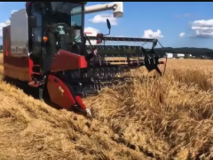 農業農村部門統計工作管理辦法