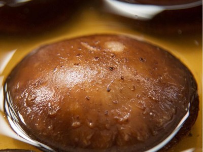 特產香菇花菇干貨冬菇剪腳肉厚食用菌批發