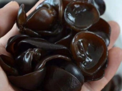 木耳批發新貨東北特產黑木耳干貨肉厚無根小碗耳椴