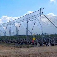 藍莓避雨棚 水果種植遮陽溫室大棚源頭供應 提供定 制安裝服務